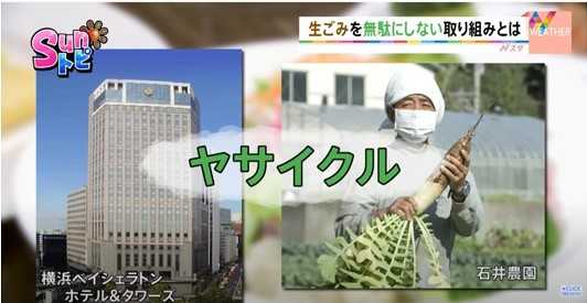 ホテルで食品ロス対策“ヤサイクル”TBS NEWS 【ＳＵＮトピ】